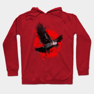 Flight Hoodie